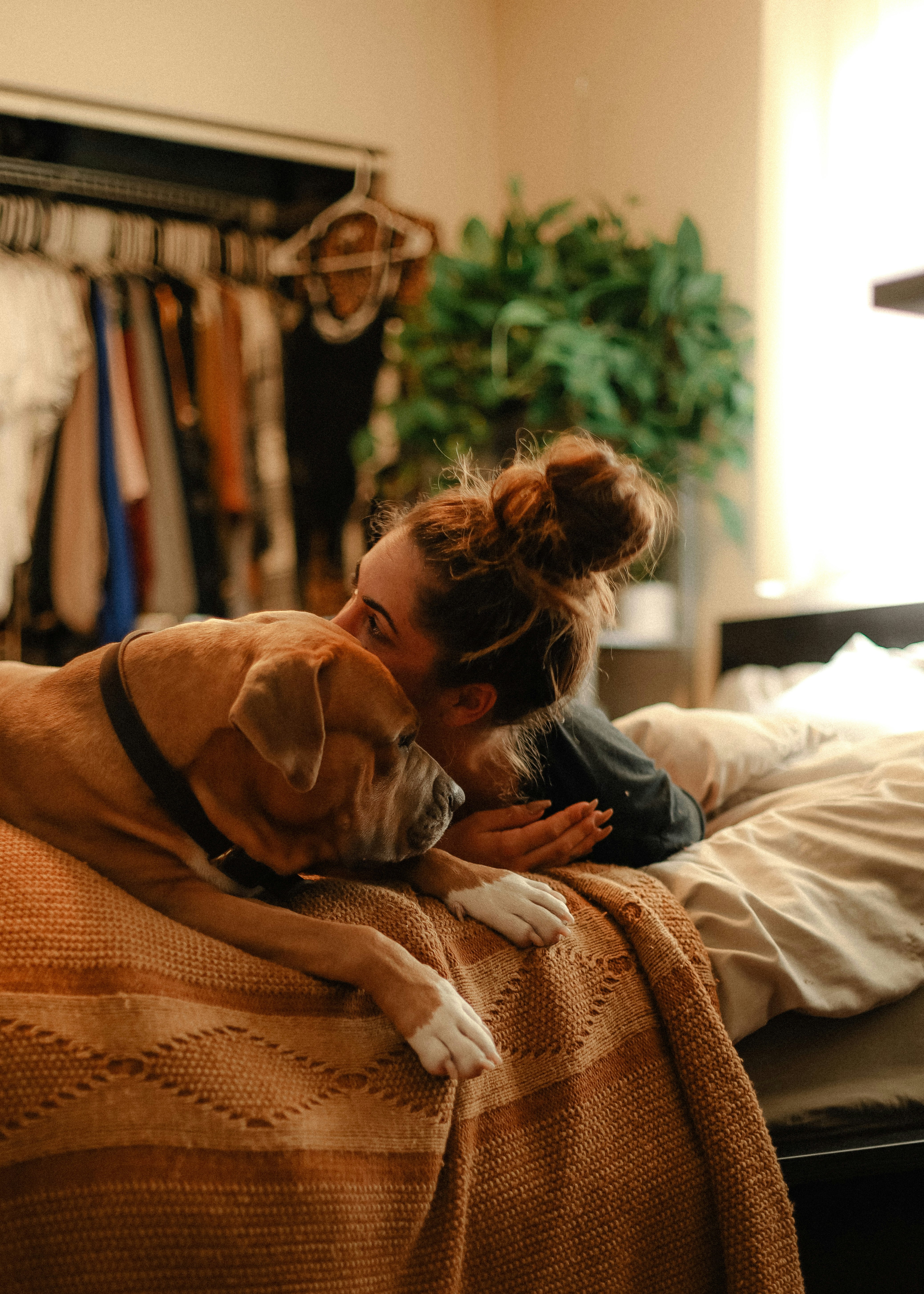 brown short coated dog on brown textile